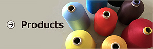 Covered yarn Products